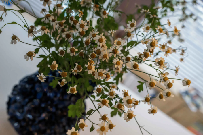 Moderne Keuken Molenhoek | Bulthaup Nijmegen